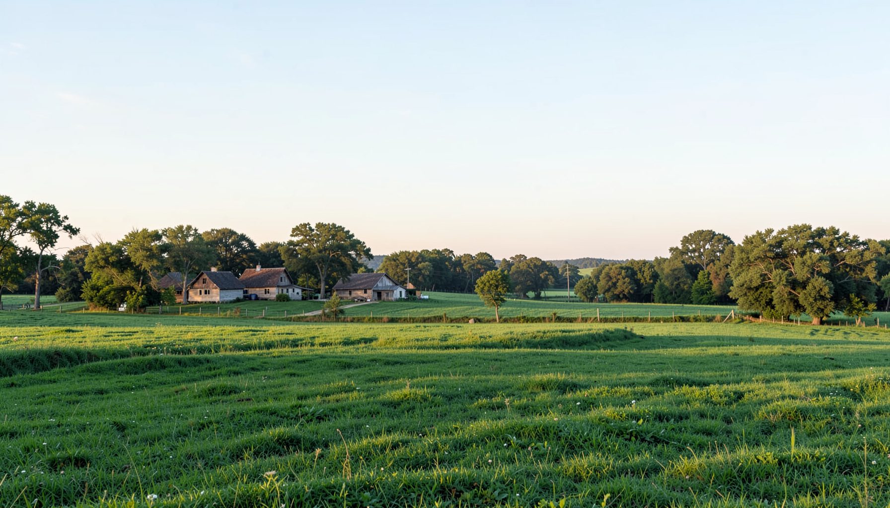 Green farmland with small farmhouses, open fields, and mature trees stretching toward the horizon under a soft morning light